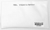 Didymella barbieri image